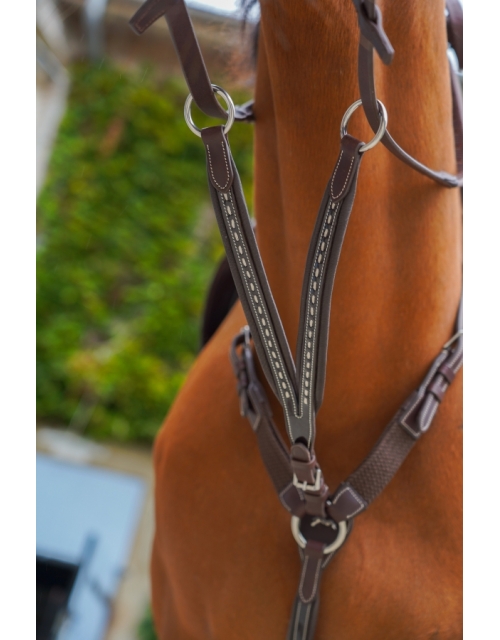 Point Sellier Martingale Attachment - Havana