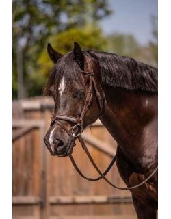 PL-Adagio Bridle - Havana