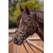 PL-Adagio Bridle - Black