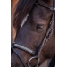PL-Adagio Bridle - Black