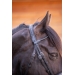 Bridon PL-Adagio - Noir
