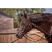 PL-Adagio Bridle - Black