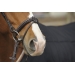 Bridle Point Sellier - Havana