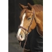 Point sellier hazelnut bridle Penelope-store