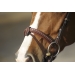 Point sellier hazelnut bridle Penelope-store
