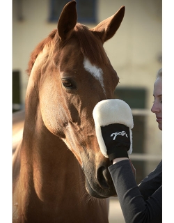 Grooming glove