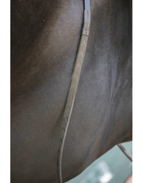 Daily web reins