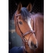 Bridon US - Noisette