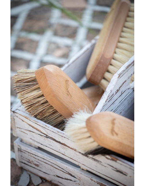 Short Hair Dandy Brush