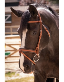 Elegance Bridle - Brandy