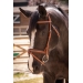 Elegance Bridle - Brandy