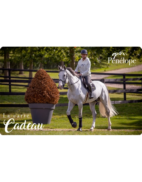 Carte Cadeau à expédier - Cheval Gris Pénélope-store