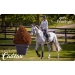 Gift Card - Grey Horse Pénélope store