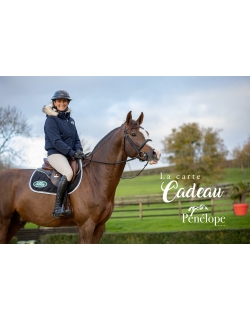 Carte Cadeau à expédier - Cheval Bai Pénélope store