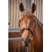 Harmonie Bridle - Havana