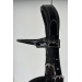 Eden Bridle