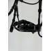 Eden Bridle