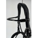 Eden Bridle
