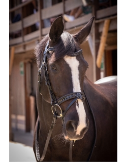 Smoothie Bridle - Black