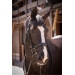 Smoothie Bridle - Black