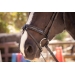 Smoothie Bridle - Black