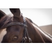 Smoothie Bridle - Black