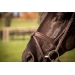 Elegance Bridle - Havana