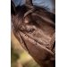 Elegance Bridle - Havana