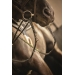 Leather Howlett Reins - Black