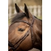 Smoothie Bridle - Havana