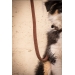Rubber Dog Leash - Havana