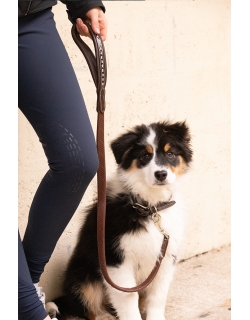 Rubber Dog Leash - Havana