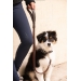 Laisse pour Chien Rubber - Havane