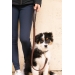 Laisse pour Chien Rubber - Havane