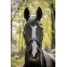 Harmonie Bridle - Black