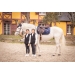 Gilet Airbag Airlight 2 by Freejump - Enfant
