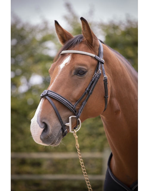 Harmonie Bridle - Black