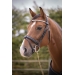 Harmonie Bridle - Black