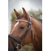 Harmonie Bridle - Black