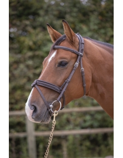 Elegance Bridle - Havana