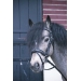 Eden Bridle - Black