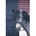 Eden Bridle - Black