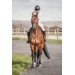 Martin-Collier - Havane