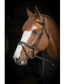 Oxford Bridle - Black