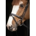 Bridon Oxford - Noir