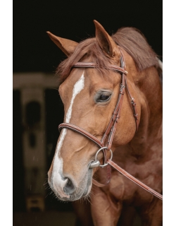 Bridon Hunter US - Noisette & Havane