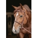 Bridon Hunter US - Noisette & Havane