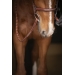 Bridon Hunter US - Noisette & Havane