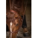 Bridon Hunter US - Noisette & Havane