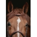 Hunter US Bridle - Chestnut & Havana